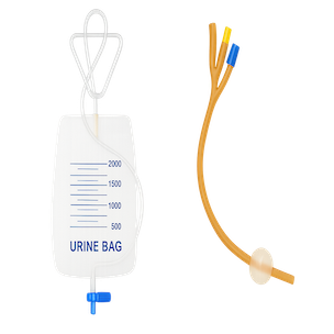  Urology